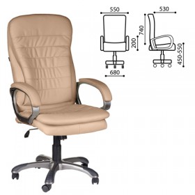 Кресло офисное BRABIX Omega EX-589 в Большеречье - bolshereche.katalogmebeli.com | фото