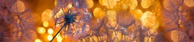 Кухонный фартук Мерцание Одуванчики золотистые 3 серебро в Большеречье - bolshereche.katalogmebeli.com | фото